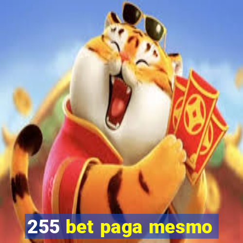 255 bet paga mesmo